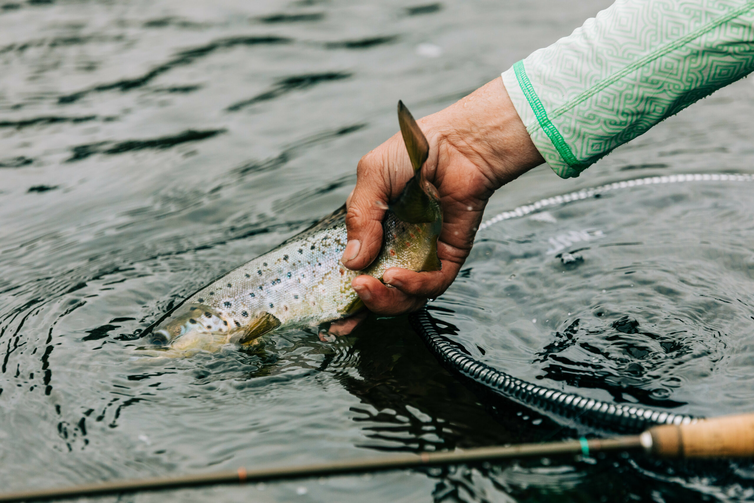 Preparation for the 2022 23 season trout guides lodges tasmania